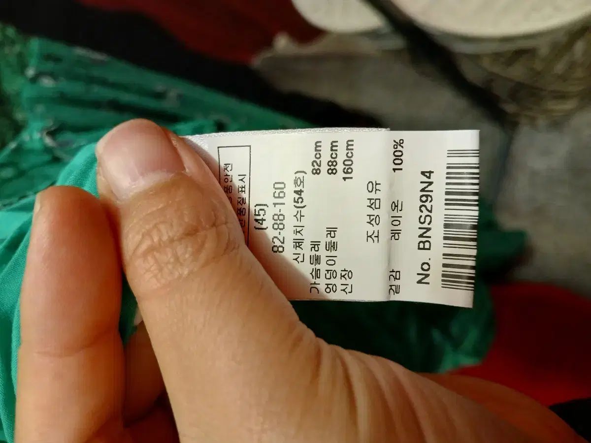 ベルニース Berenice