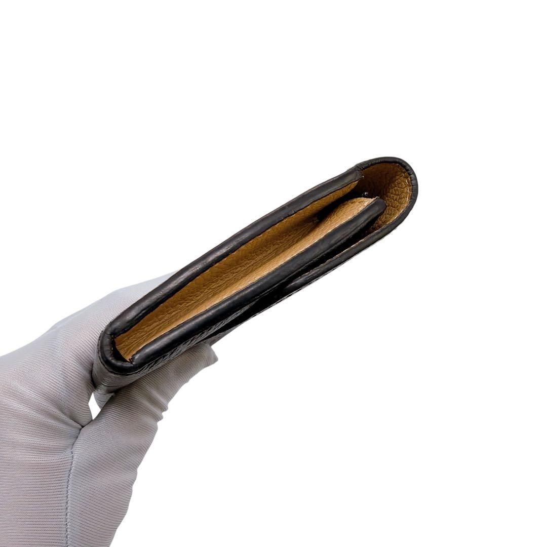 モノグラムアンプラント