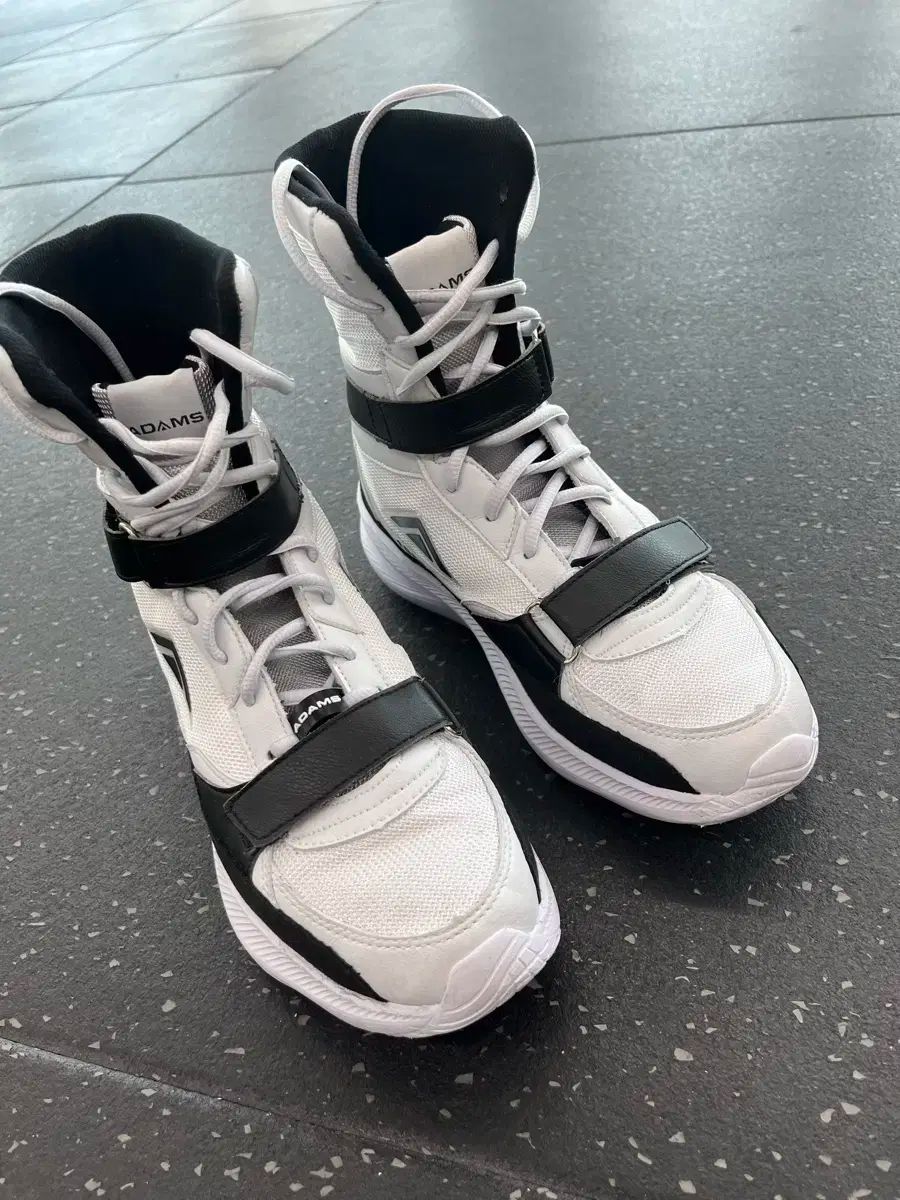 アダムス ボクシング シューズ 260