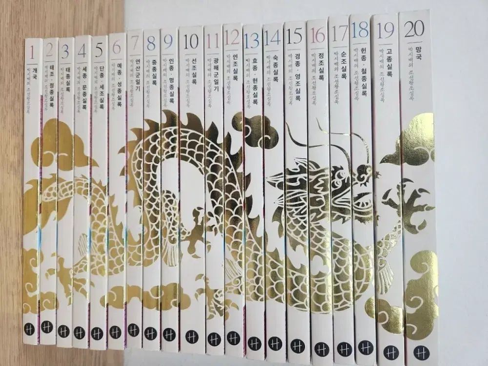 オーバーサイズバッグの王朝歴史書 全巻セット 1 20巻