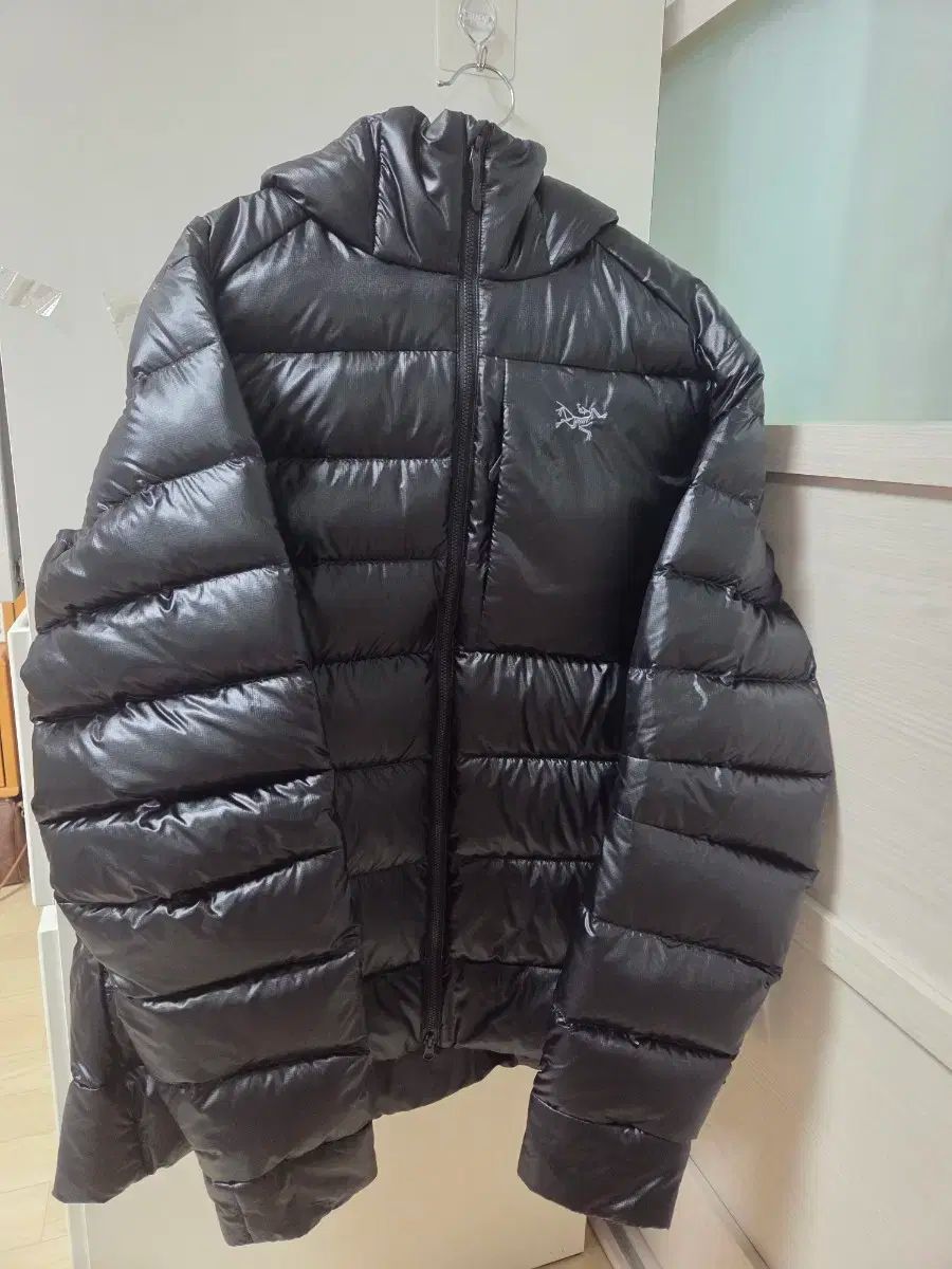 ARC TERYX Cerium SV フーディ ウィメンズ ブラック 100