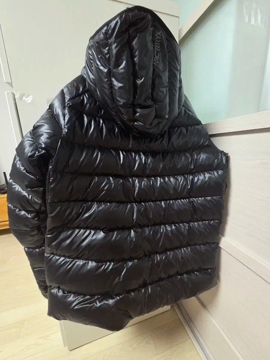 ARC TERYX Cerium SV フーディ ウィメンズ ブラック 100