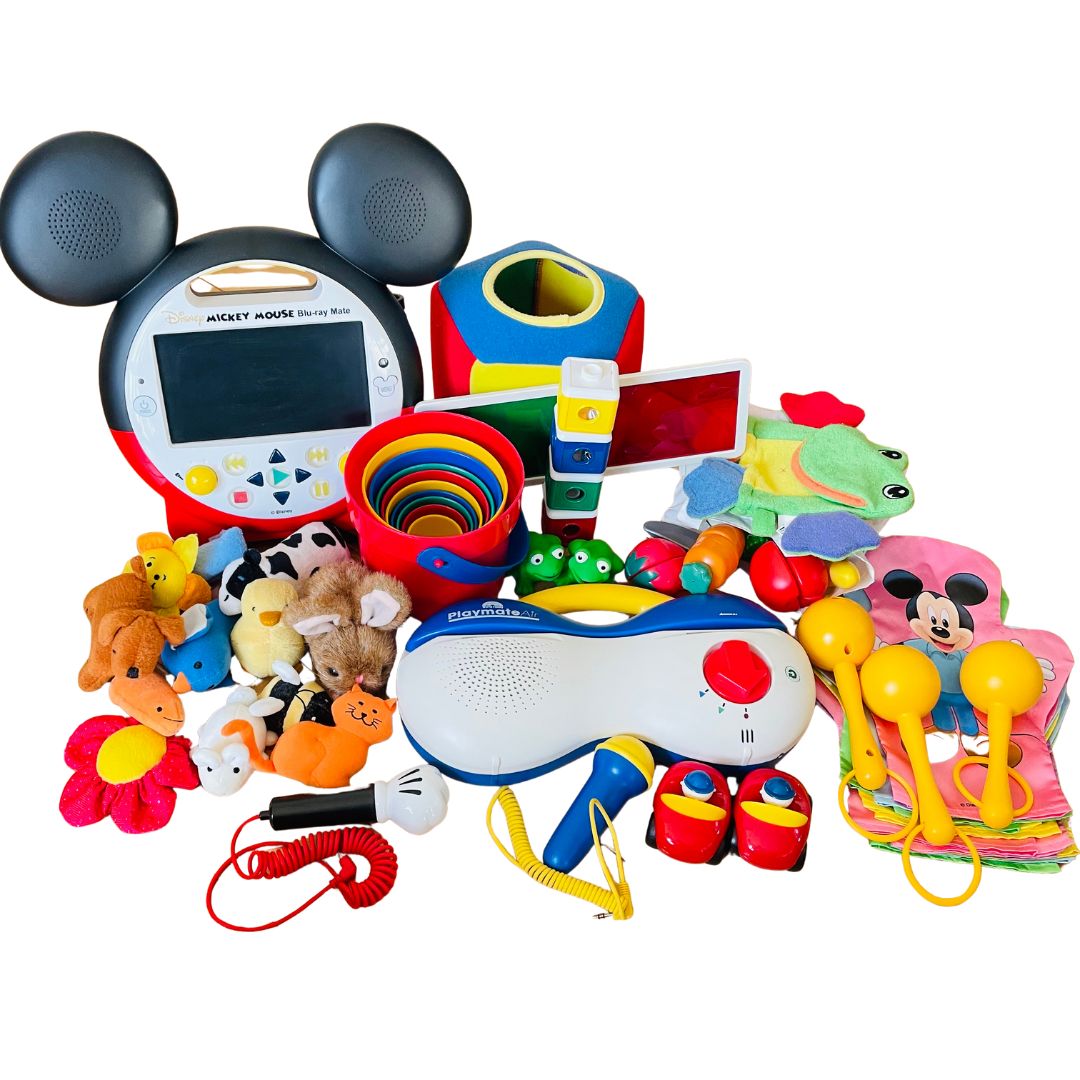 ③DWE ディズニーワールドファミリー ミッキー・パッケージ＋G おまけ