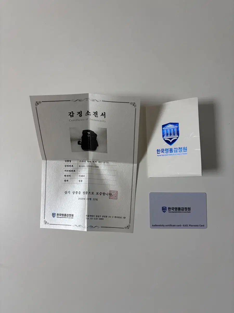 ポコノ ナイロン