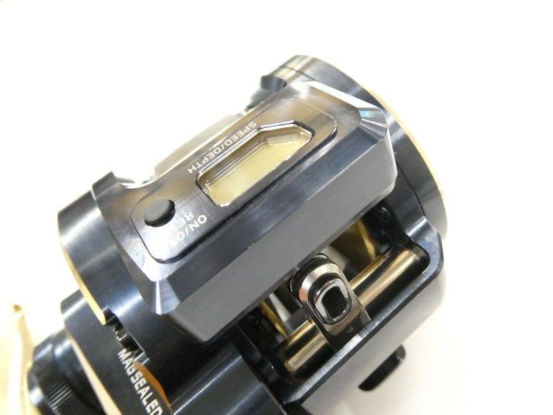 ダイワ 21ソルティガ IC 300 01-8111150009