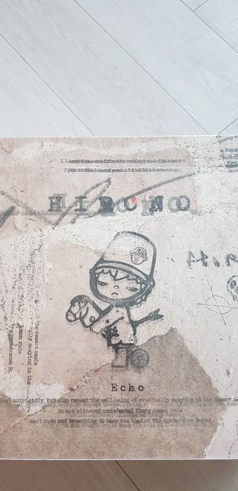 POP MART HIRONO エコーシリーズ フィギュア 入