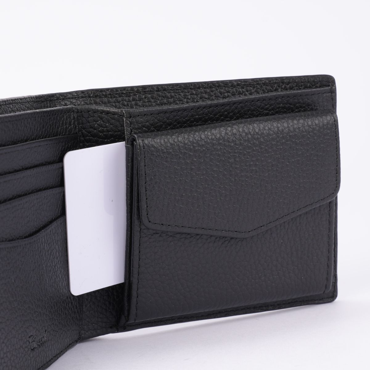 クロコダイル coin