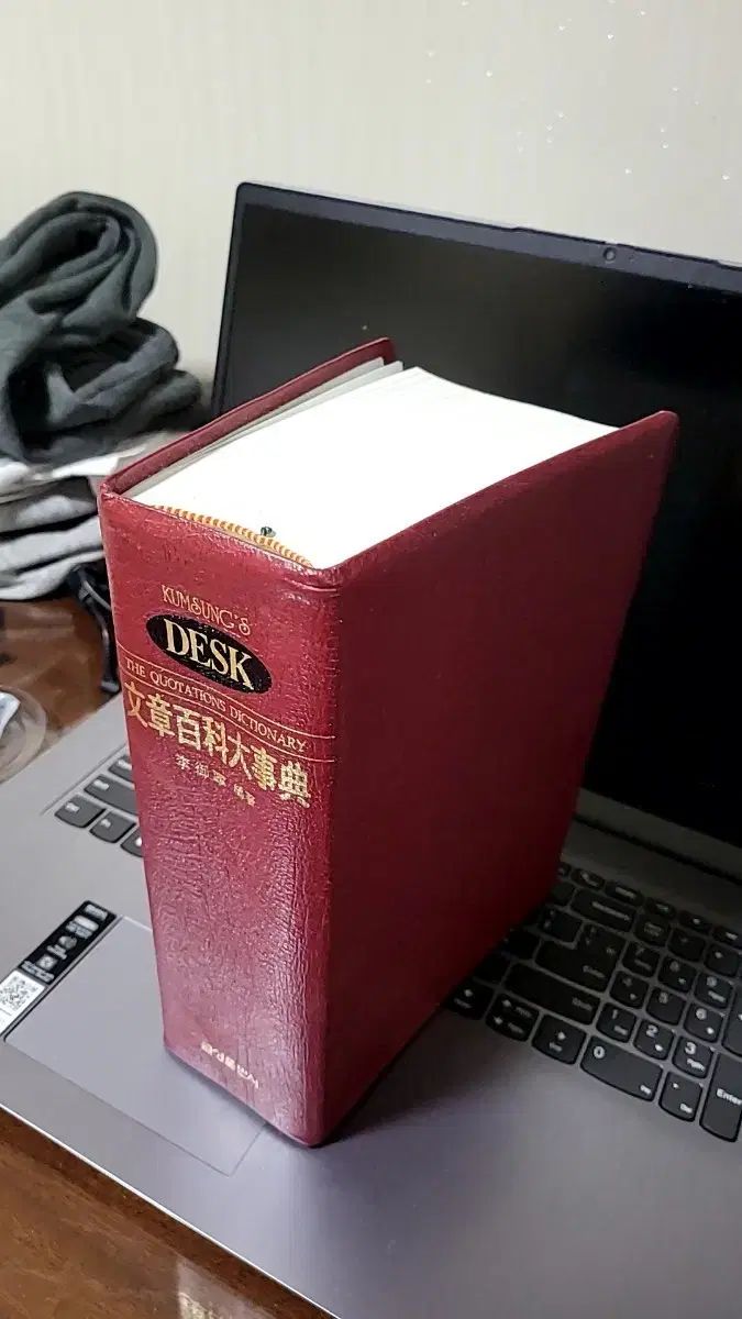 イ ヨリョン ムーン ジョンジェ大百科事典