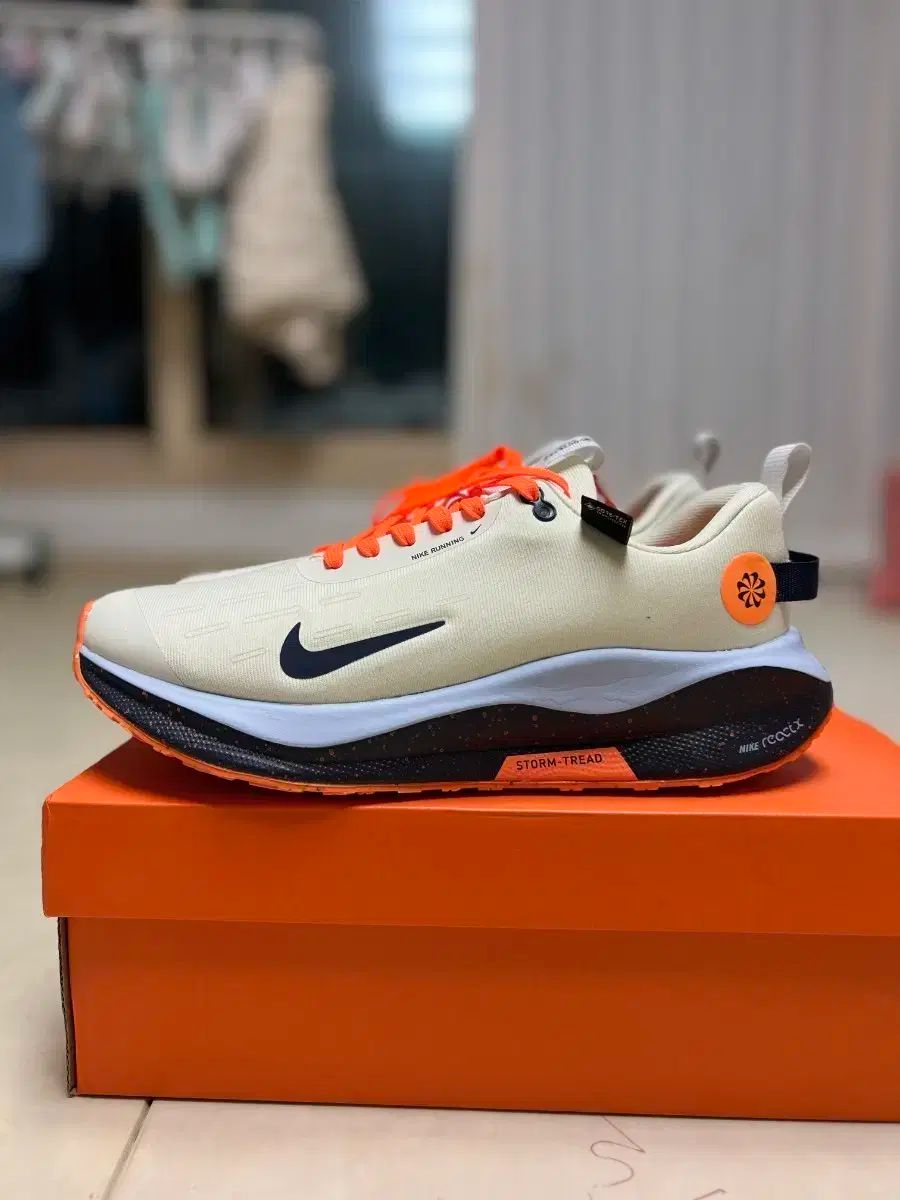 ナイキ インフィニティ ラン 4 GTX 270mm