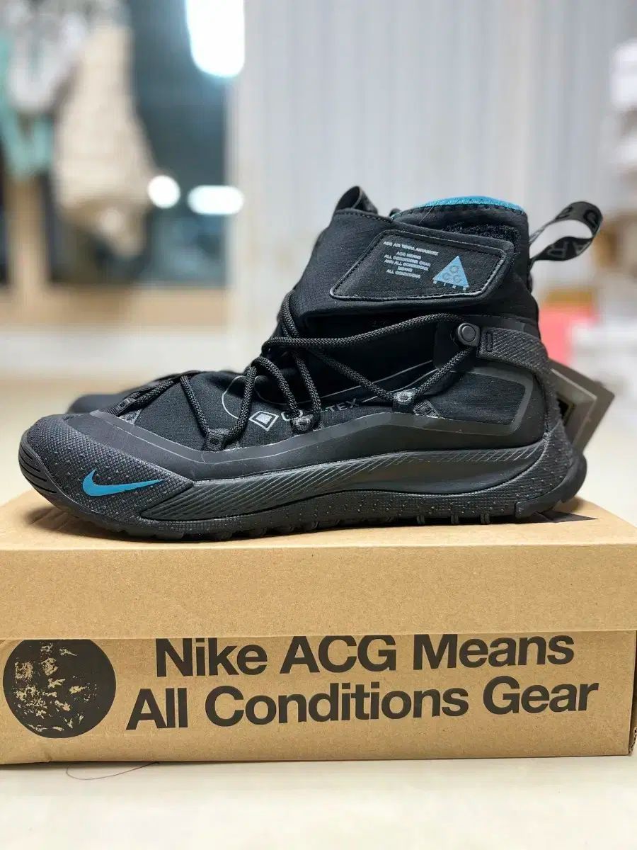 ナイキ ACG エア テラ Antark ブラック 275