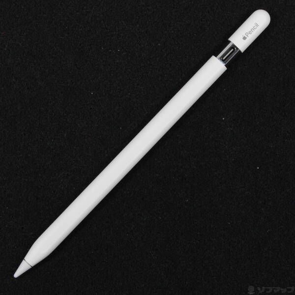 〔 品〕 Apple Pencil USB-C 344