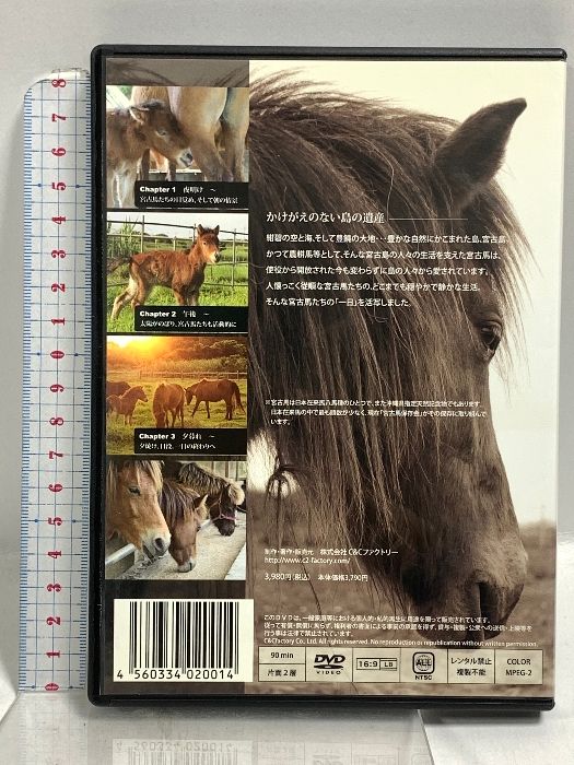 沖縄県指定天然記念物・宮古馬の一日 [DVD] MIYAKO HORSE 宮古馬の一日 沖縄県指定天然記念物 宮古馬の一日 株式