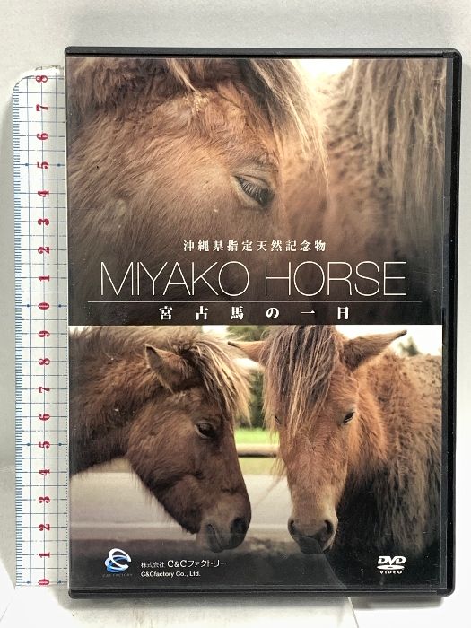 沖縄県指定天然記念物・宮古馬の一日 [DVD] MIYAKO HORSE 宮古馬の一日 沖縄県指定天然記念物 宮古馬の一日 株式