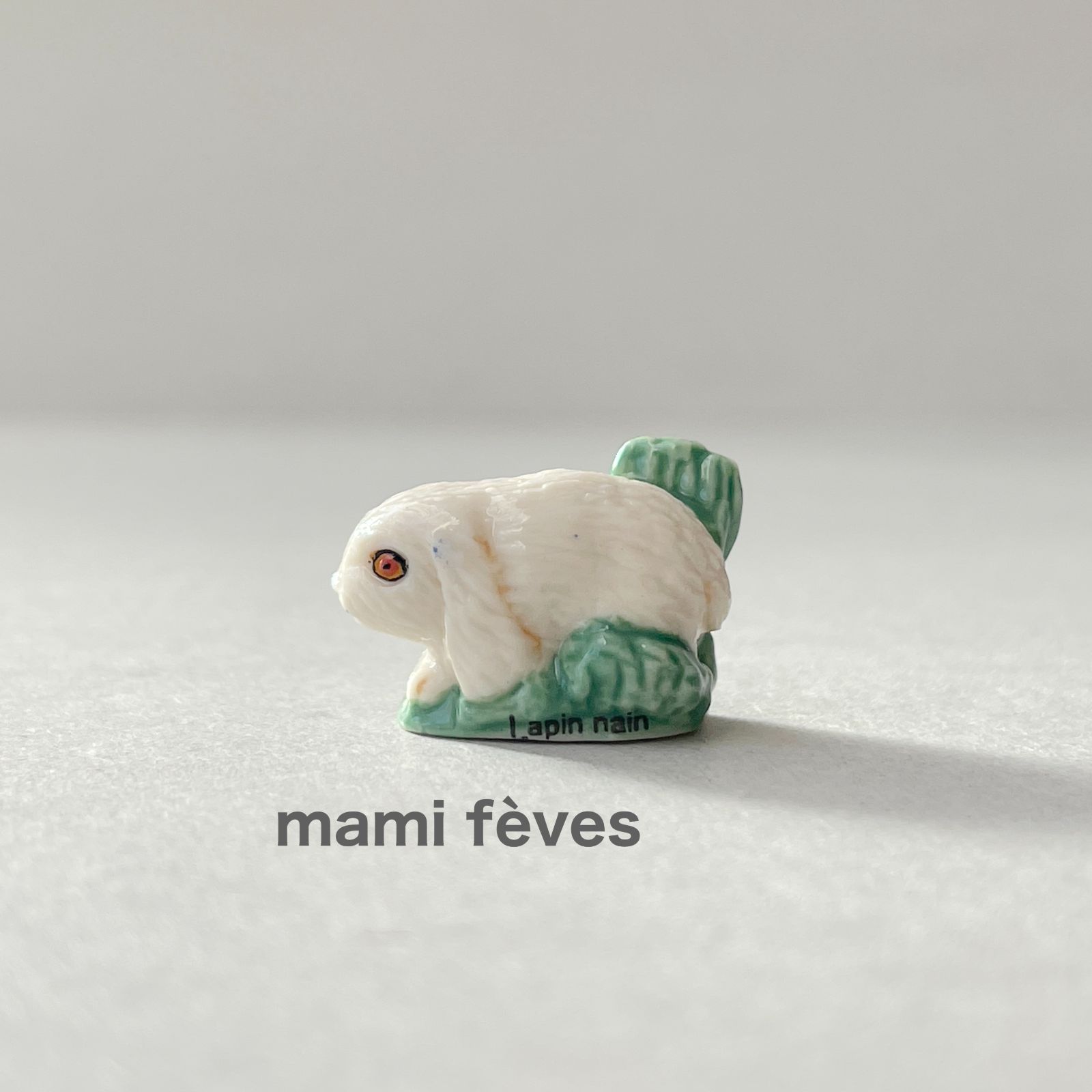 フェーヴ ドワーフラビットの子ども 子ウサギたち フランス フェーブ