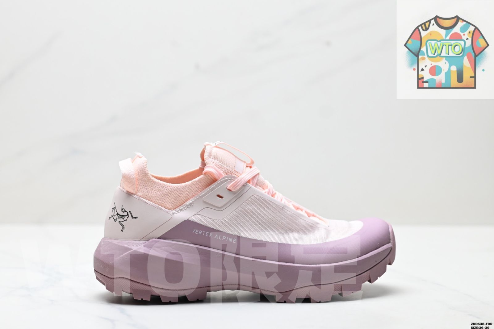 アークテリックス Arcteryx NORVAN LD 防水処理済みローカットアウトドアハイキングブーツ