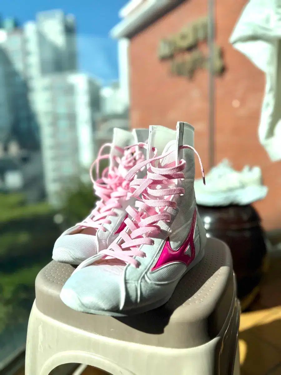 ミズノ ピンク ボクシング シューズ