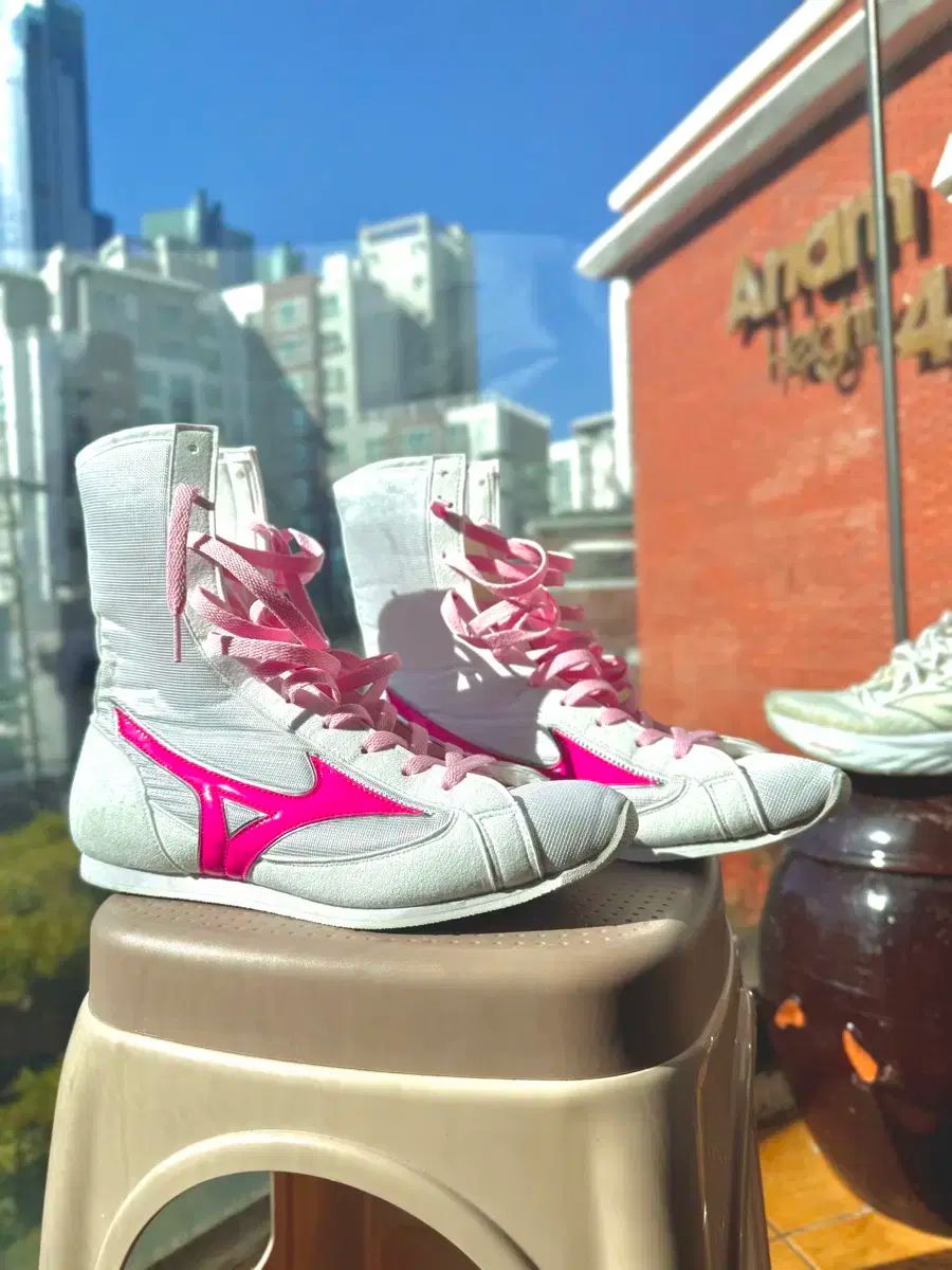 ミズノ ピンク ボクシング シューズ