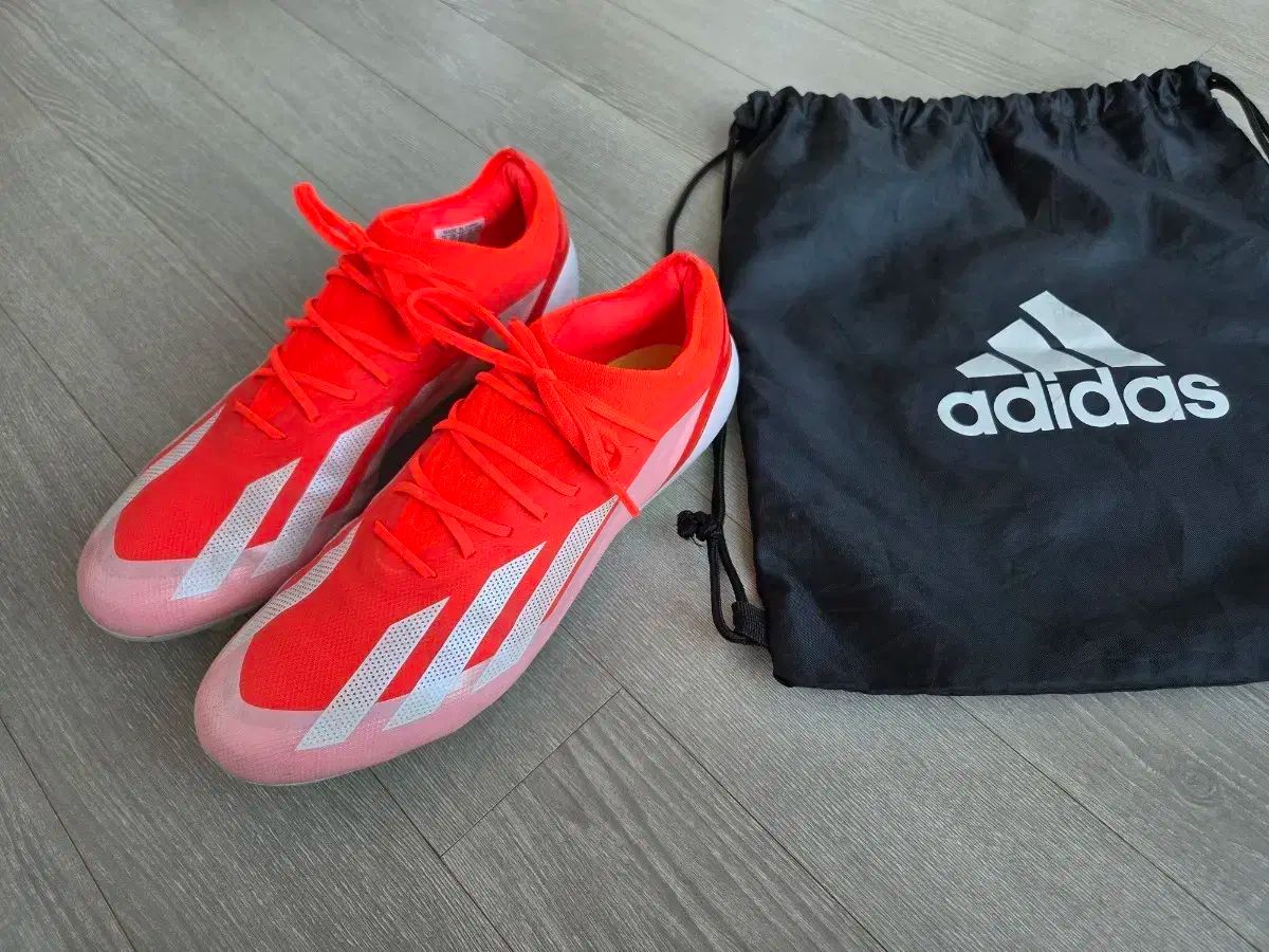 アディダス X Hot Sauce Crazy Ver. RESONANCE pt.1 The Past Ver. エリート hg 270mm