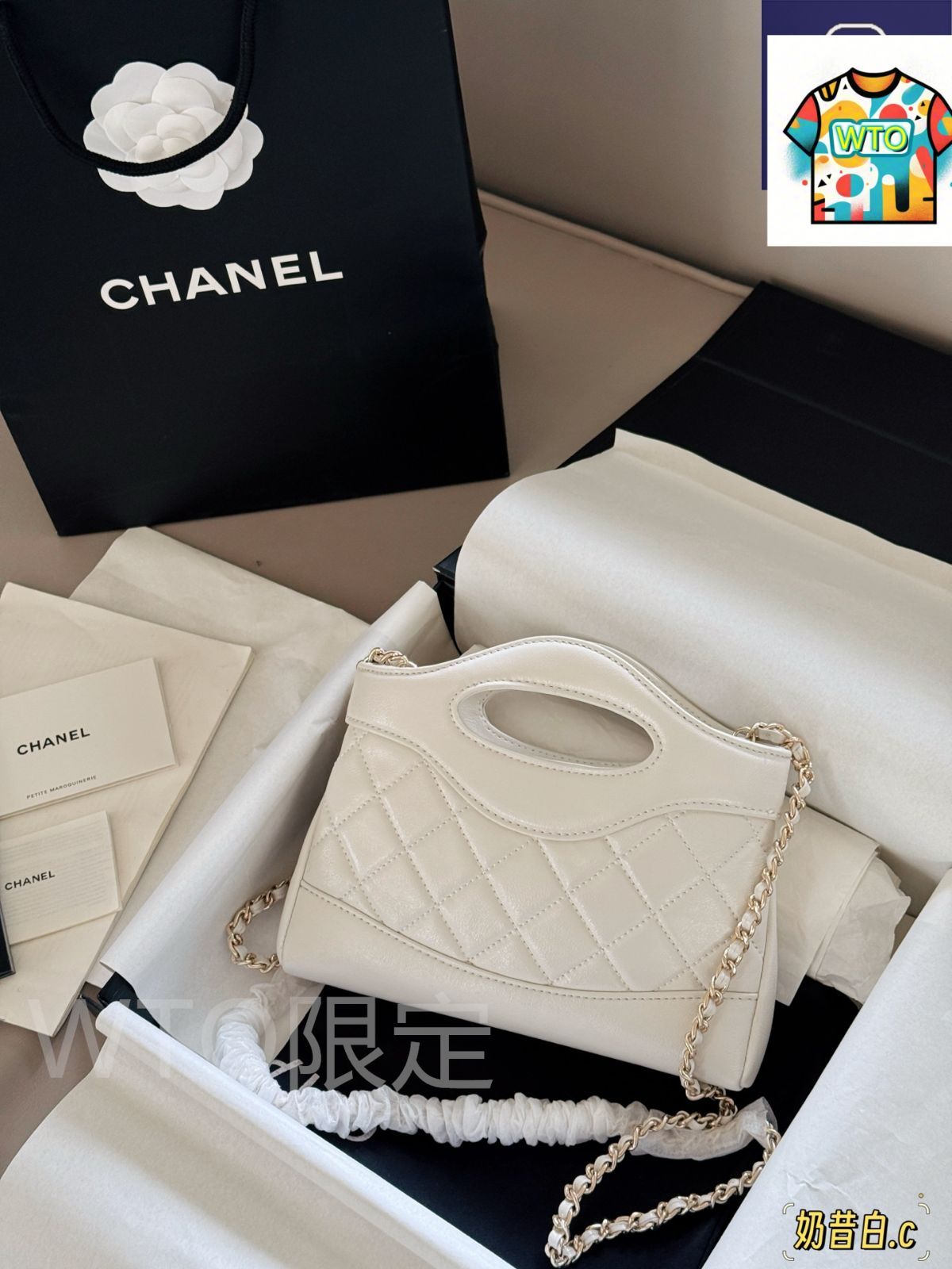  今日 Chanel シャネル 31 ナノ バッグ 横型デザインの超可愛らしい モデル-WTO輸入2 ハンドバッグ バッグ