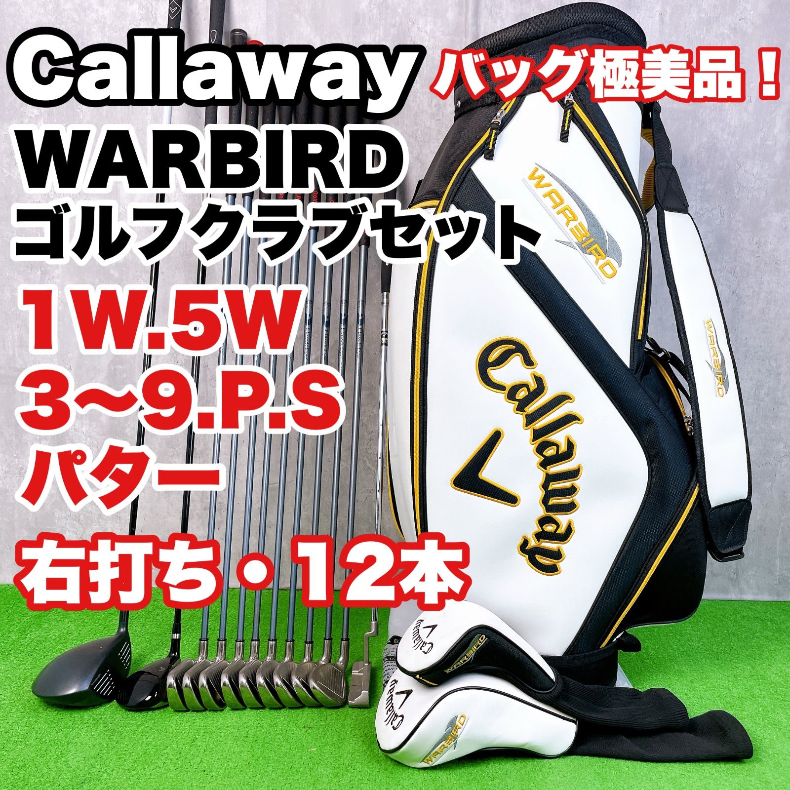 メンズ キャロウェイ ウォーバード ホークアイ ゴルフクラブセット 右打ち 12本 入門者 WARBIRD Hawk Eye Irons