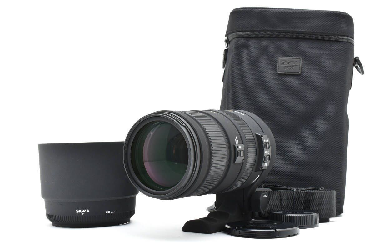 外観 シグマ SIGMA 120-400mm F4.5-5.6 APO HSM OS DG ニコン Nikon T15 4379