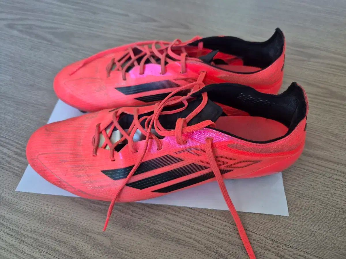 アディダス F 50 エリート レッド サッカーシューズ フットサルシューズ