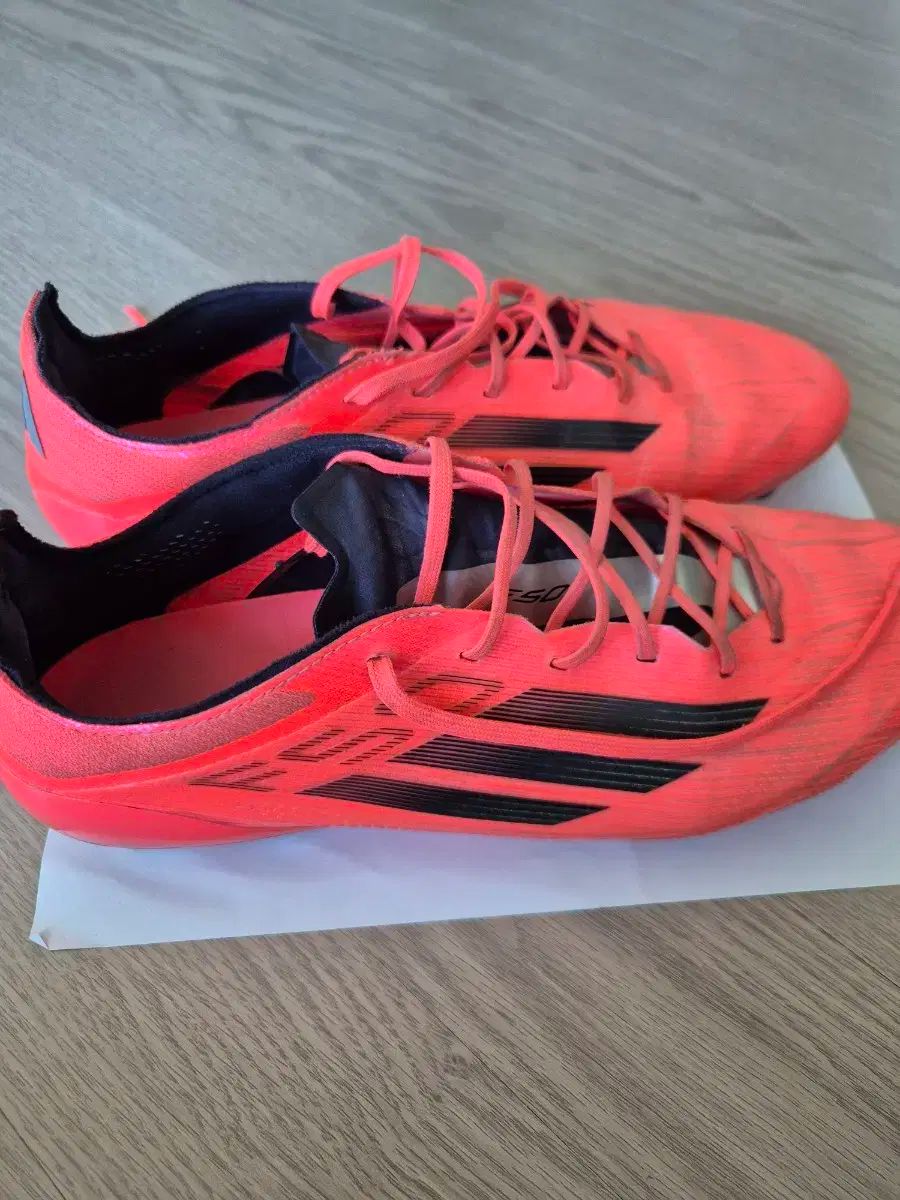  アディダス F 50 エリート レッド サッカーシューズ フットサルシューズ フットサルシューズ シューズ