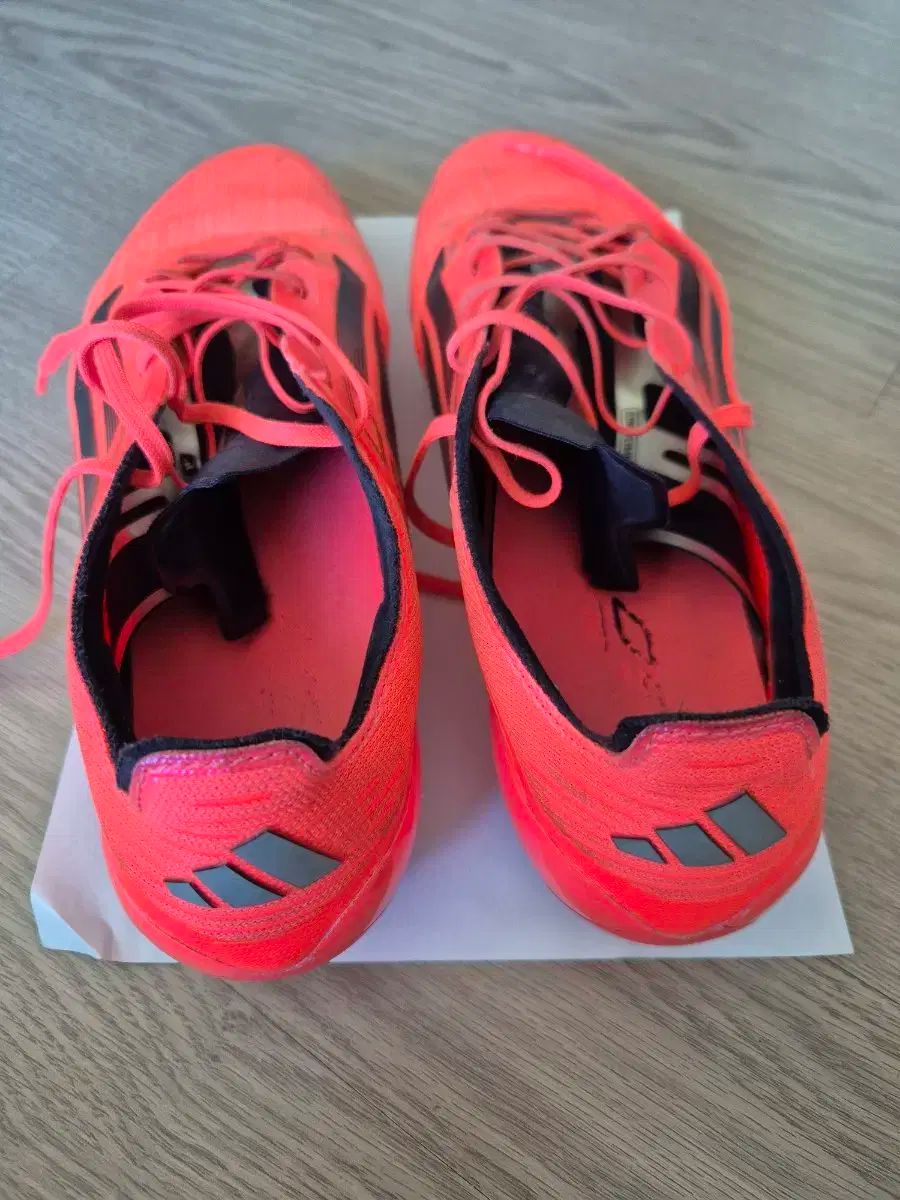 エリート レッド