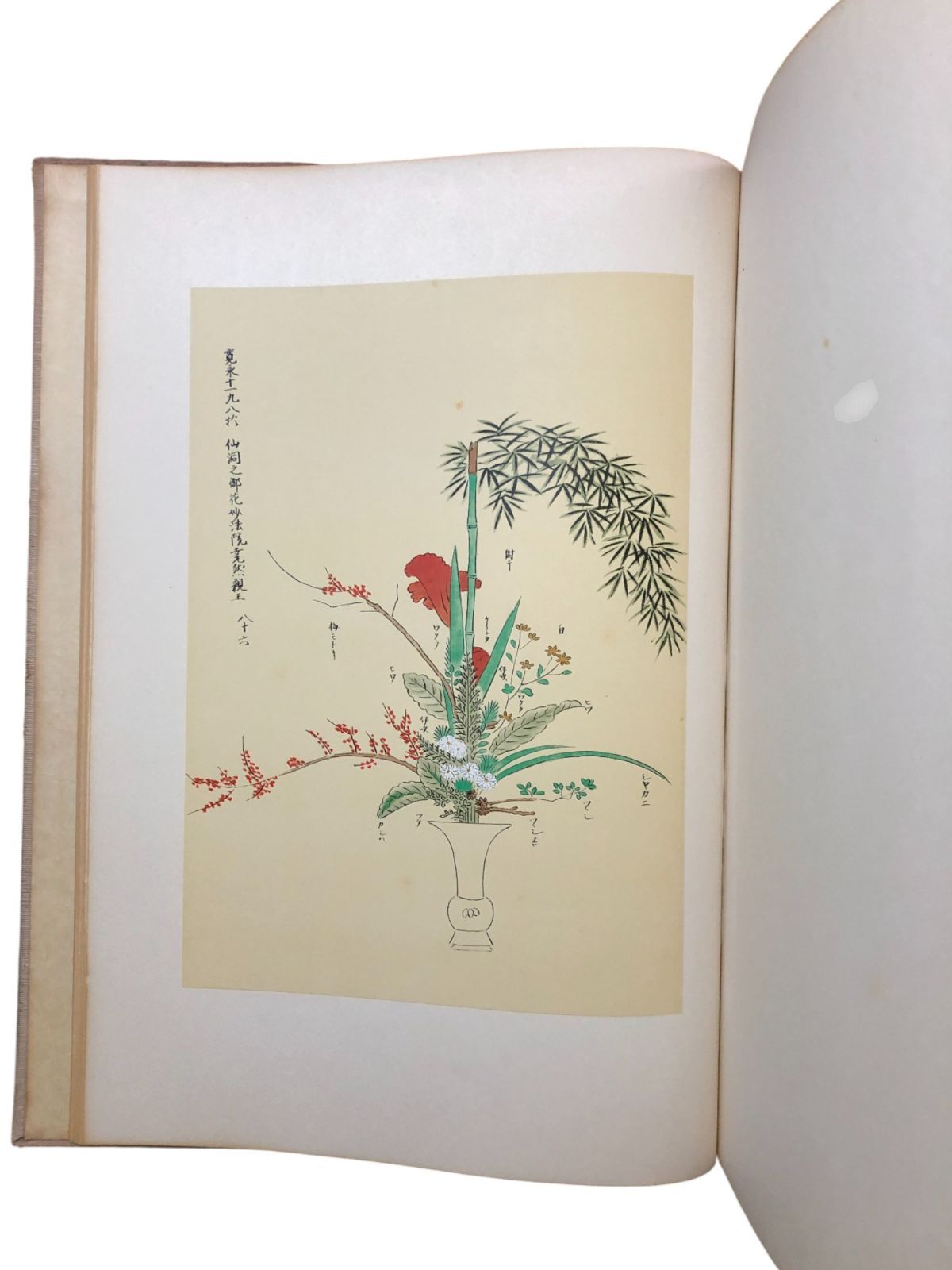 立花 池坊専好 池坊専好 講談社 昭和45年5月20日 ☆立花/華道/池坊専好