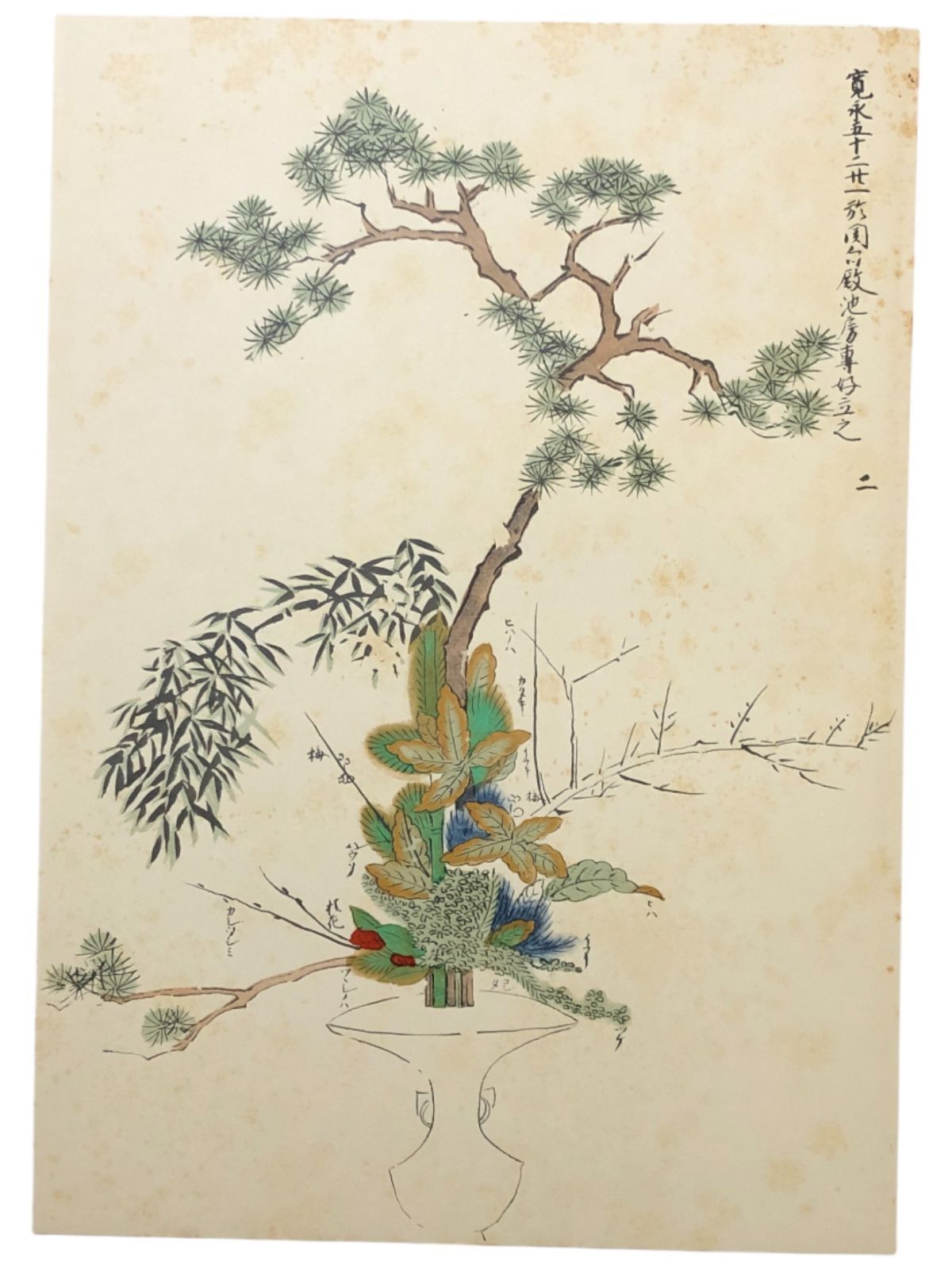 立花 池坊専好 池坊専好 講談社 昭和45年5月20日 ☆立花/華道/池坊専好