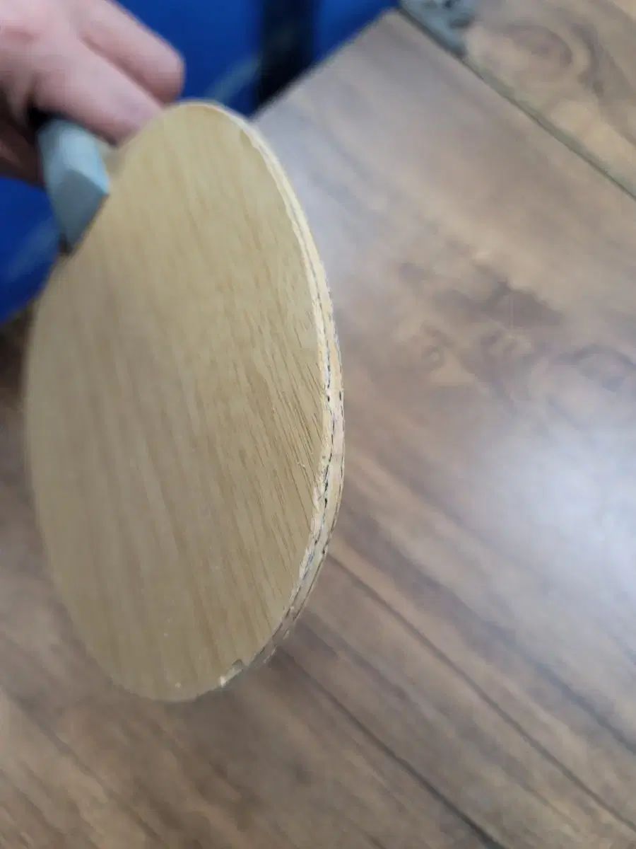 セイケ 卓球ラケット