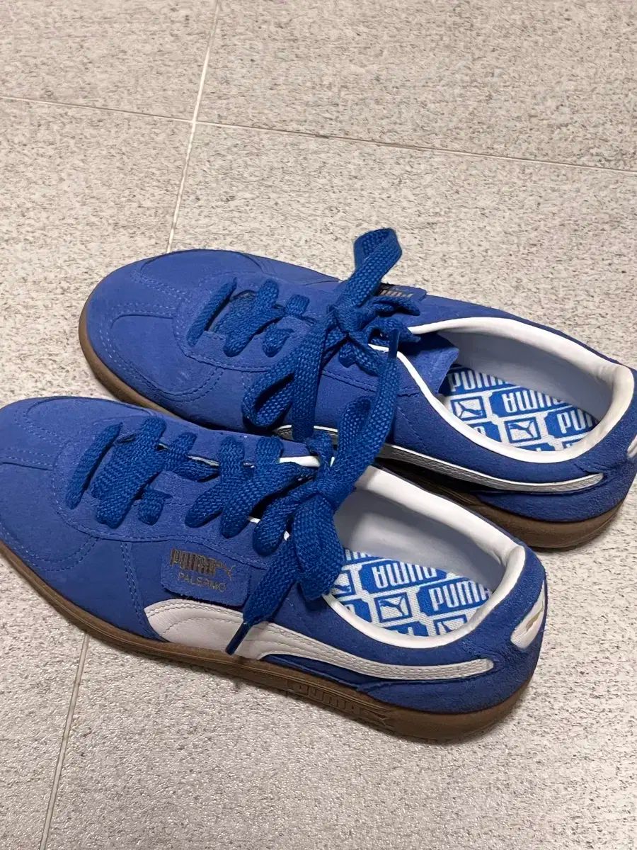 プーマ パレルモ スウェード ブルー スニーカー 240