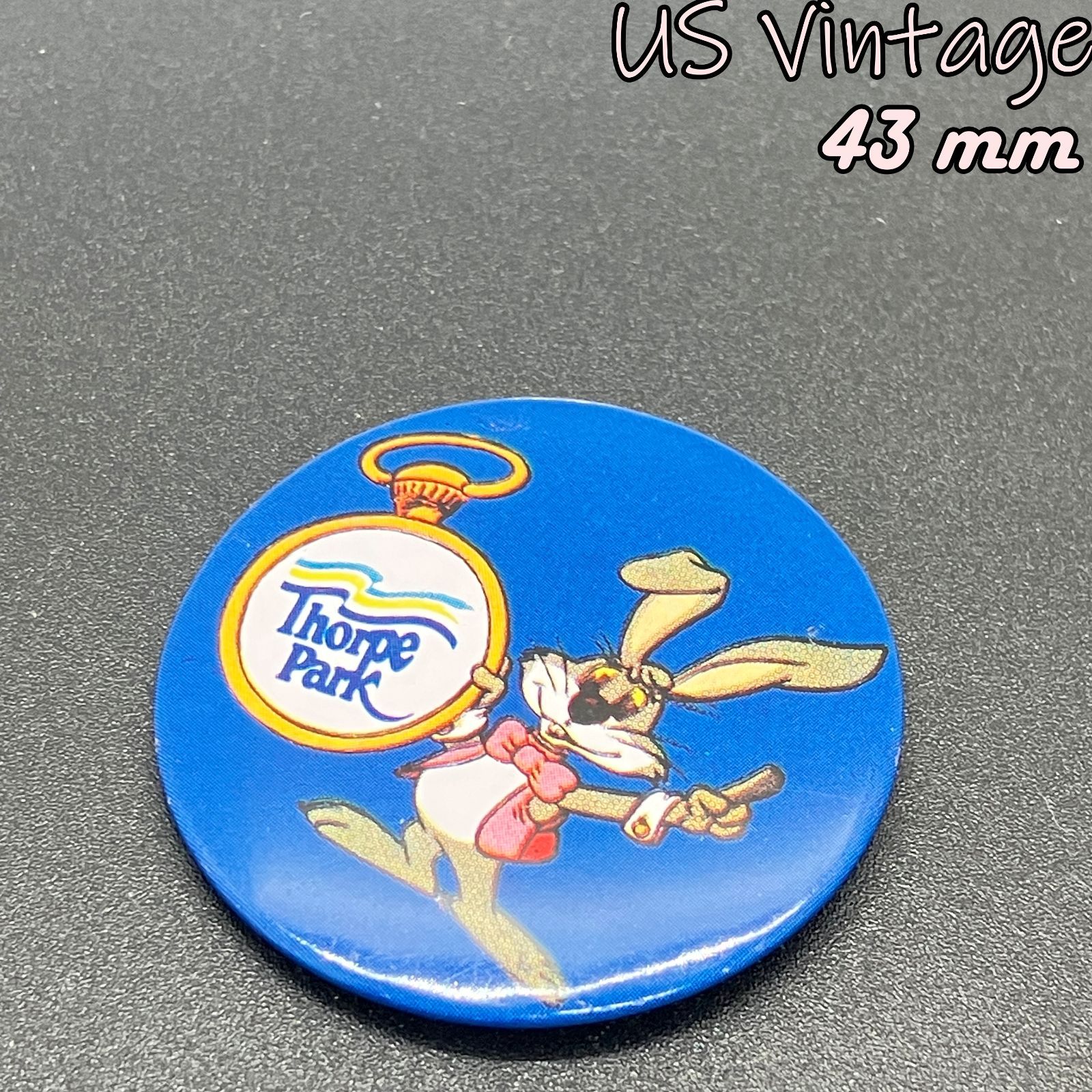 B1612 当時物　80年代　ヴィンテージ　希少　ハドソン　バッチ B1612 当時物 80年代 ヴィンテージ 希少 ハドソン バッチ B1612 当時物