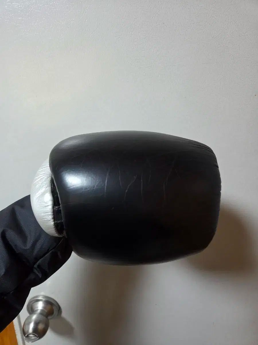  RIIZE ライズ リング プロフェッショナルss 10 oz ボクシング グローブ その他 ボクシング