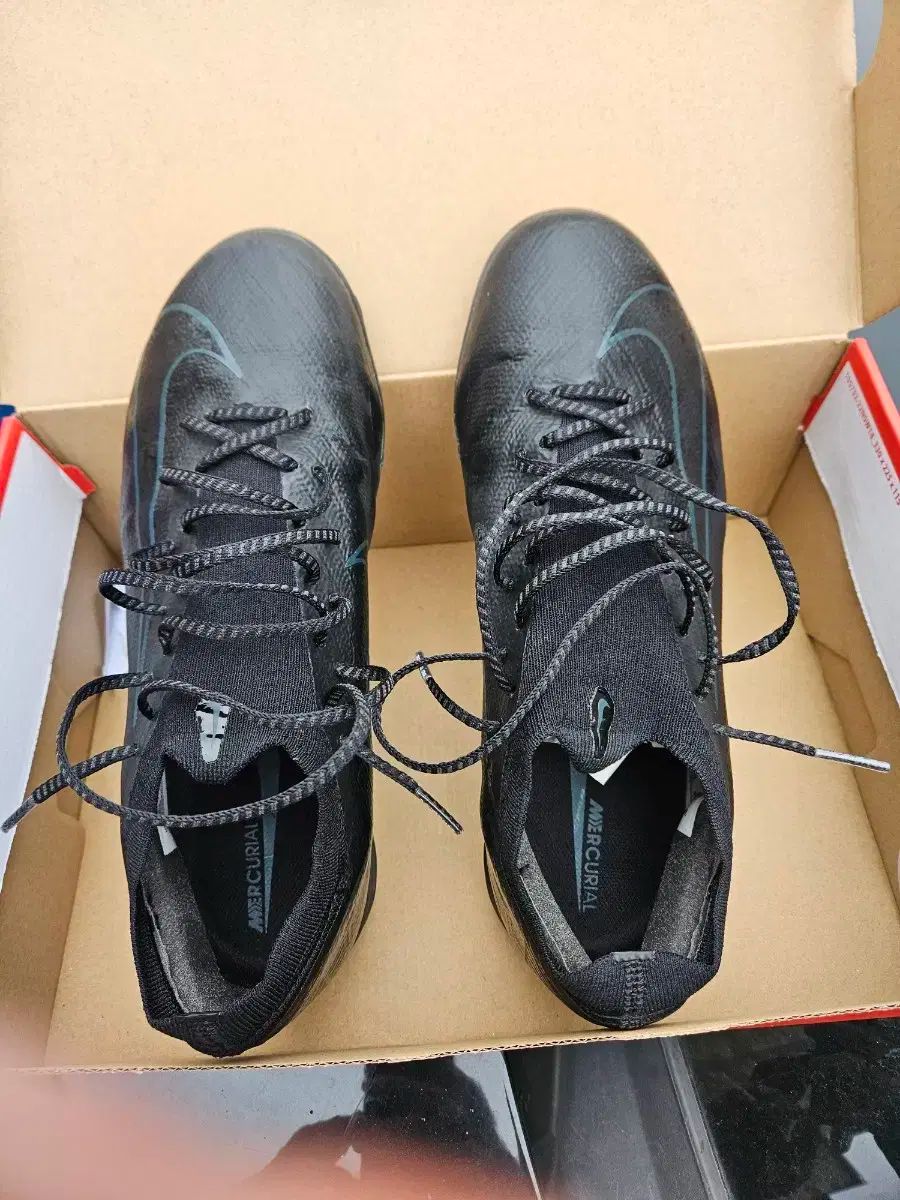 ベイパープロTF