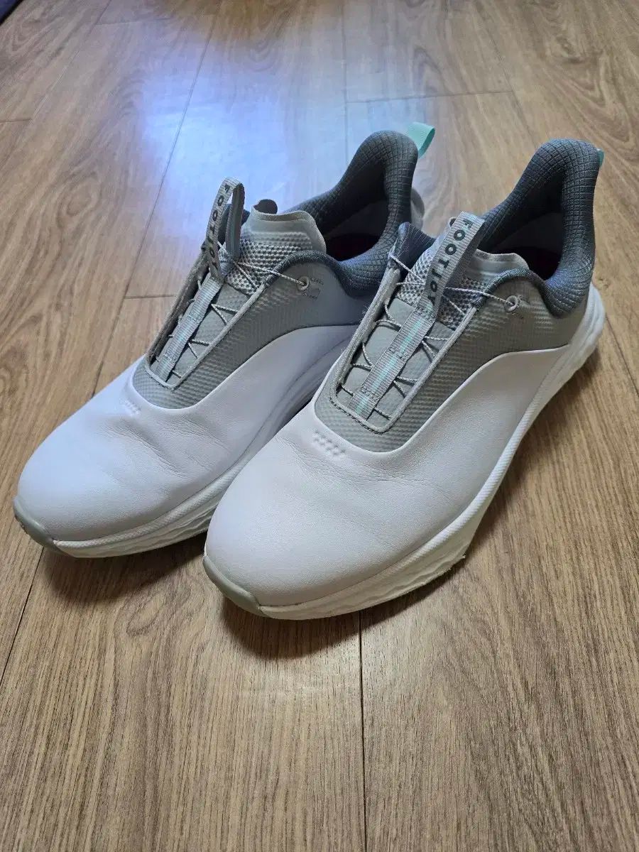 フットジョイゴルフシューズ280mm