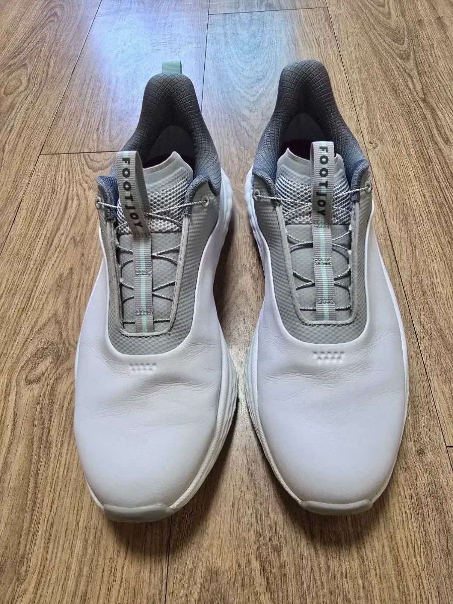 フットジョイゴルフシューズ280 mm