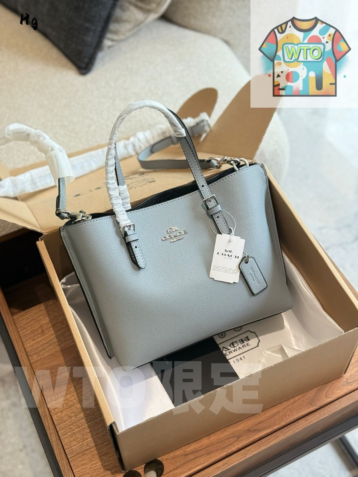 今日 Coach コーチ モリー25 中くらいのサイズでありながら収納力が非常に優れている-WTO輸入1