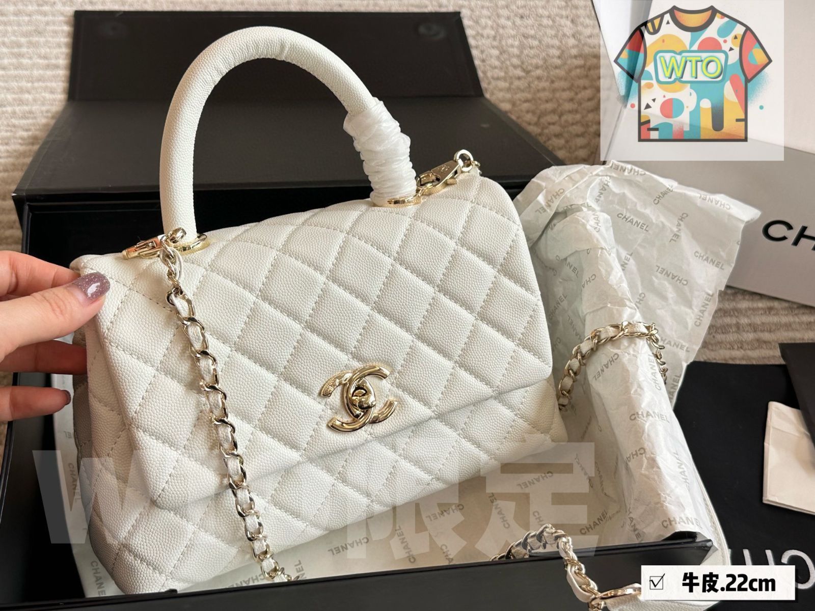 クラシックデザインが特徴です-WTO輸入1