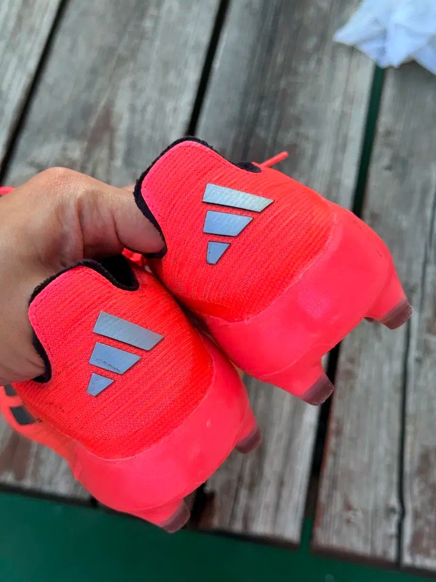 ビビッドホライズン