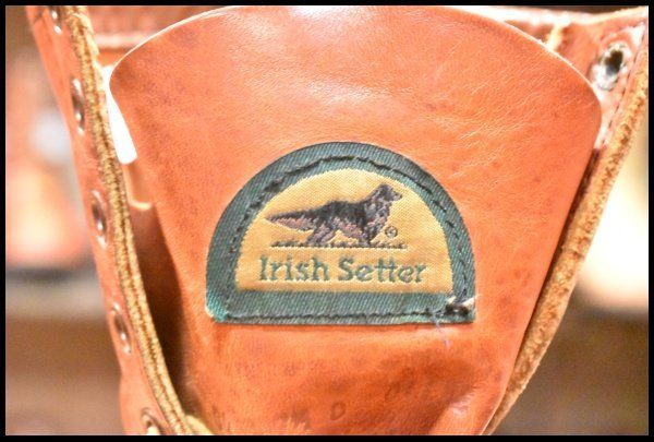 ロング アイリッシュセッター