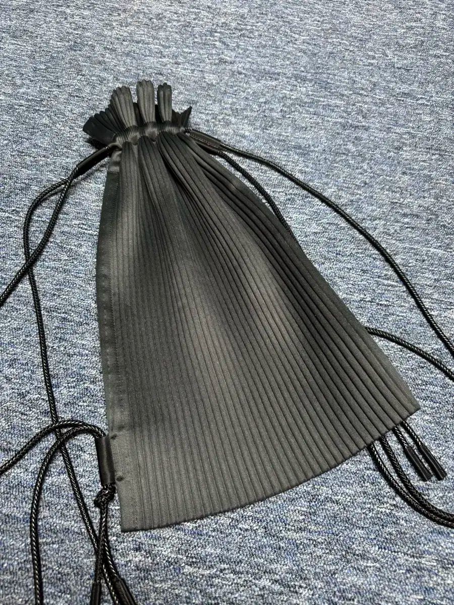 イッセイミヤケ オムプリッセ 냅색 ブラック