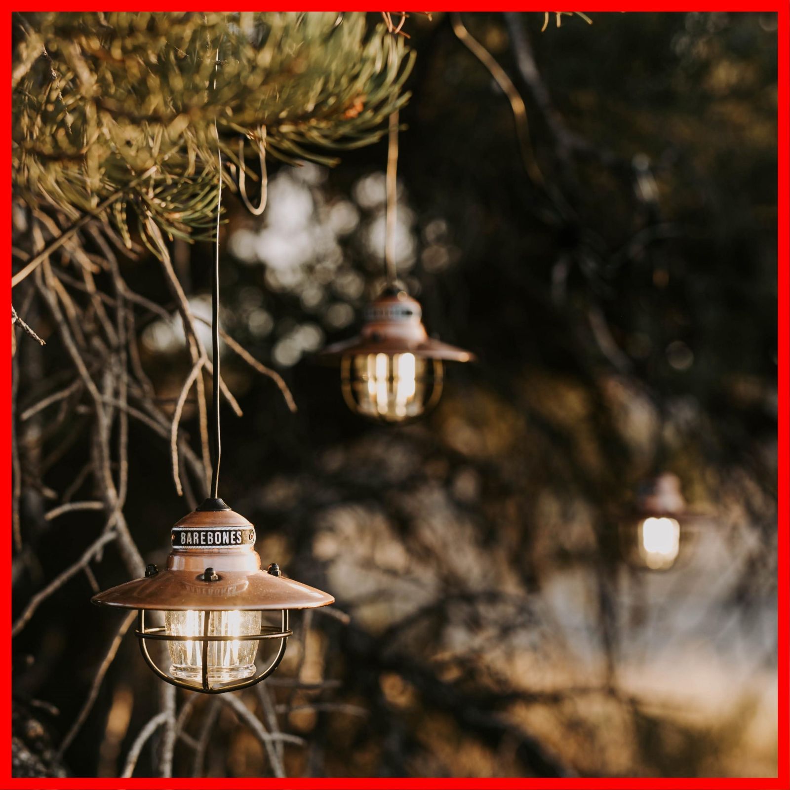 商品 Living Barebones ベアボーンズリビング エジソンスリングライトLED