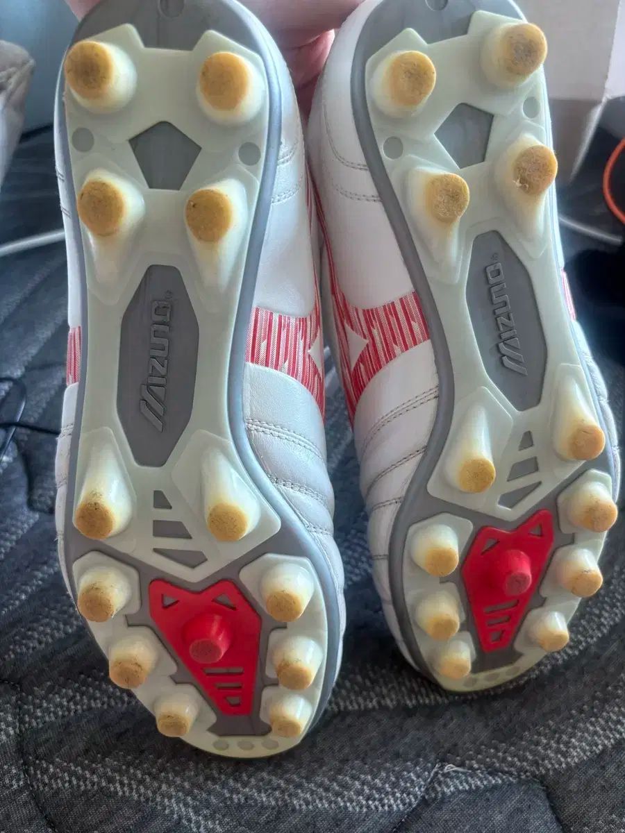 モナルシーダ NEO₃