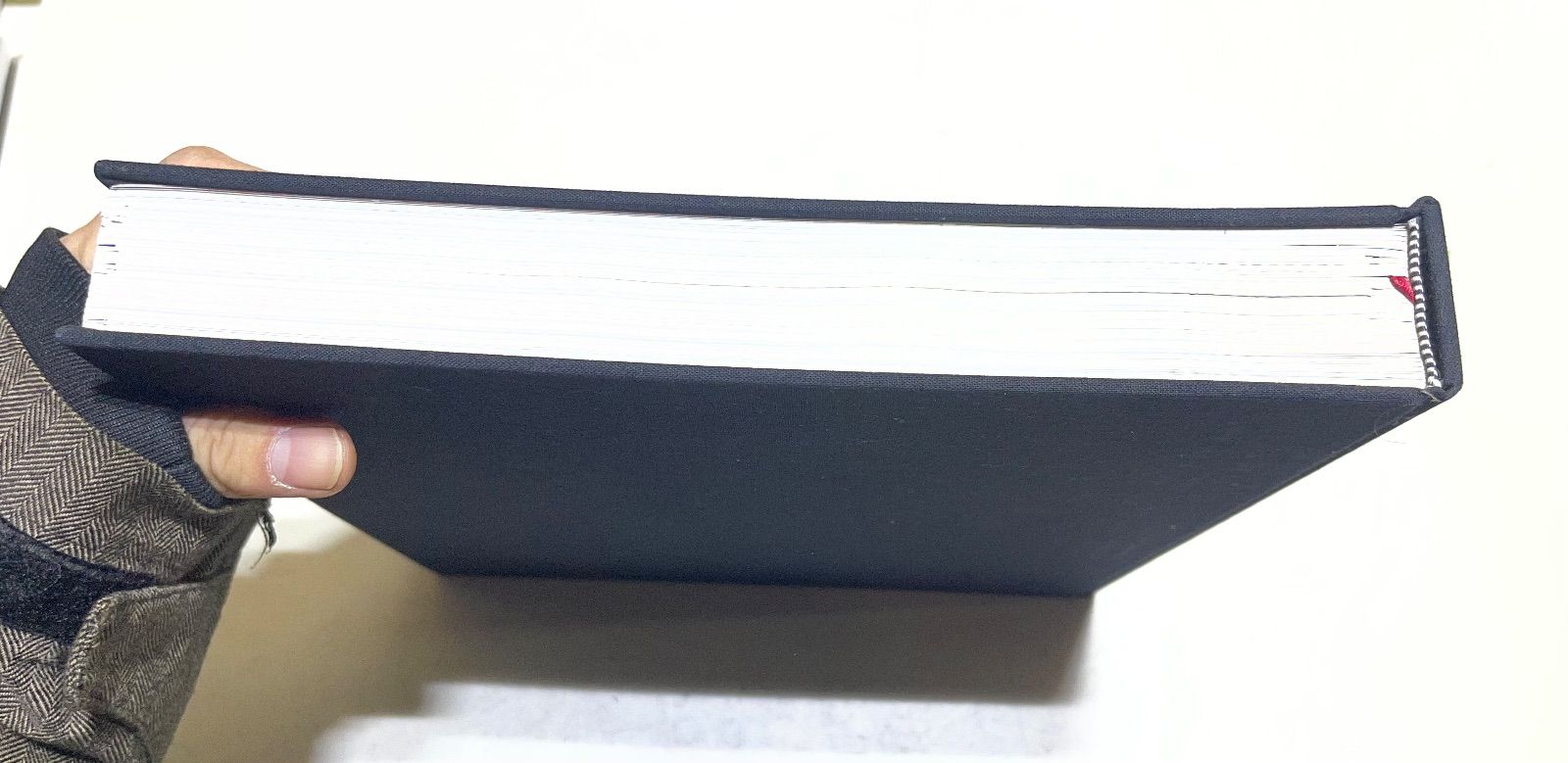 The Art of Tim Burton ティムバートンの世界