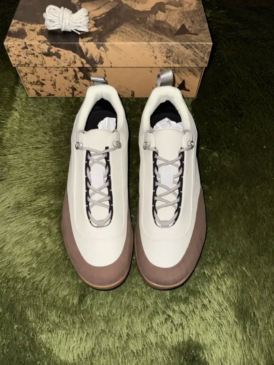 46 ROA ロア 親知らず グレー ハニー