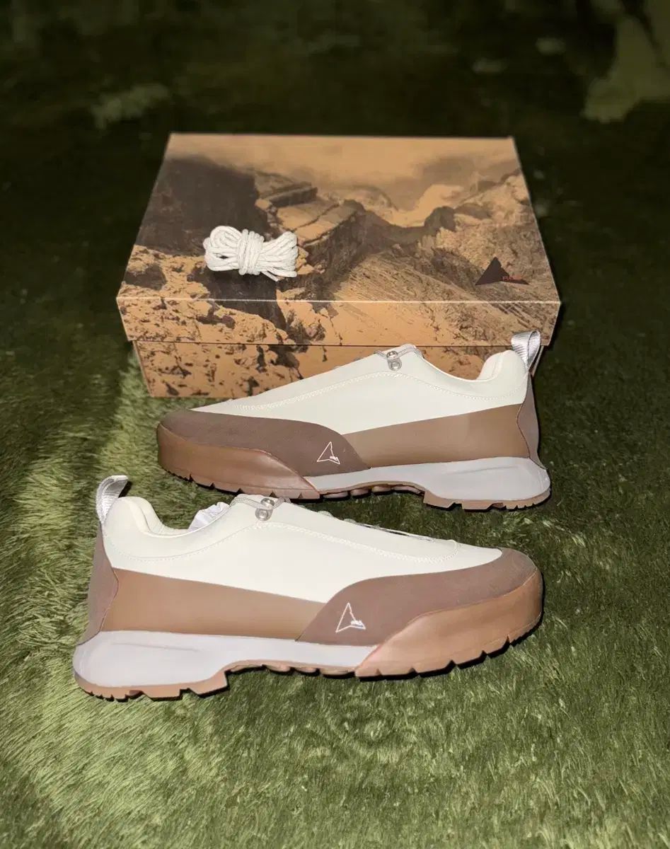 46 ROA ロア 親知らず グレー ハニー