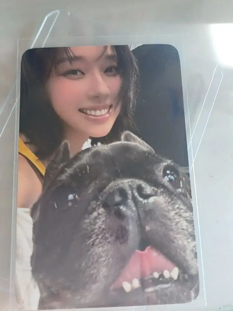 aespa SMTOWN30周年 ktown4u トレカ ウィンター aespa ウィンター 30