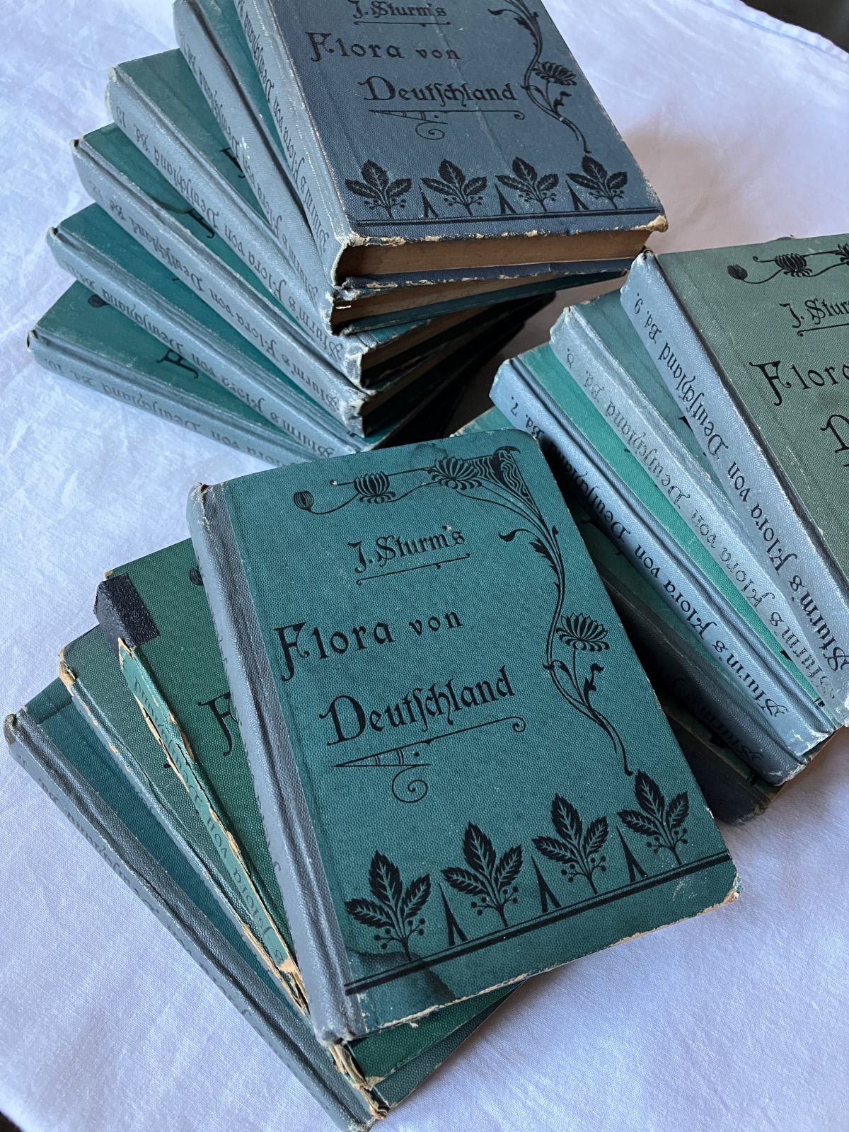 アンティーク植物図鑑 Flora von Deutschland 全15巻揃い