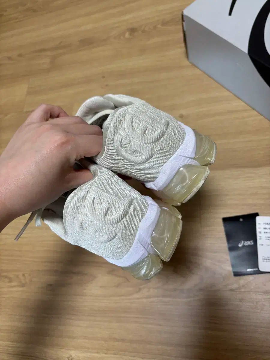 スニーカー ウィメンズ